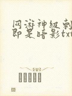 网游神级刺客我即是暗影txt