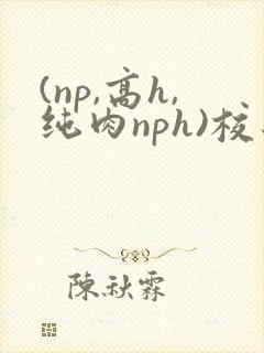 (np,高h,纯肉nph)校园封面