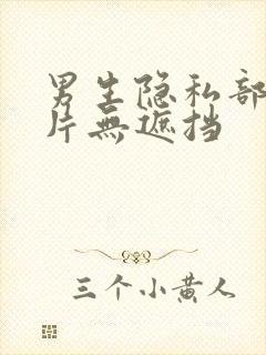 男生隐私部位照片无遮挡