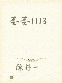 蛋蛋1113