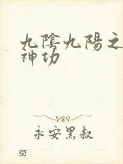 九阴九阳之阴阳神功