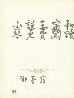 小说王宇和周美琴免费阅读