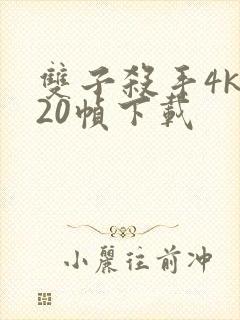 双子杀手4k120帧下载封面