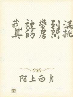 我被带到满是玩具的房间挑调游戏