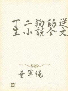 丁二狗的逆袭人生小说全文阅读