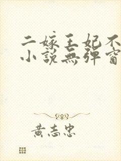 二嫁王妃不好惹小说无弹窗