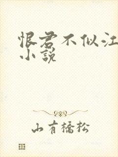 恨君不似江楼月小说