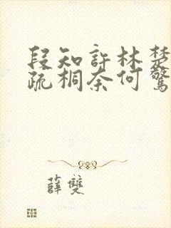 段知许林楚楚江疏桐奈何惊鸿入我心