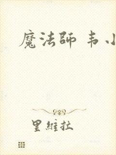 魔法师 韦小宝封面