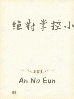 绝对掌控小说