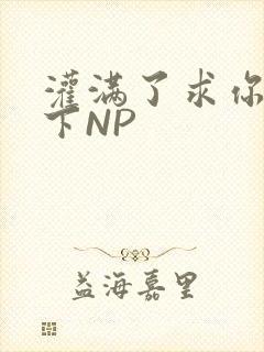 灌满了求你们停下NP