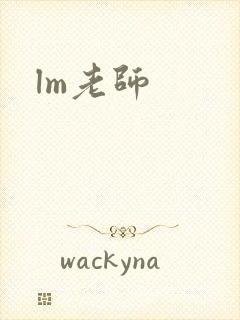 lm老师