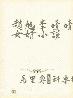 赵旭李晴晴上门女婿小说封面