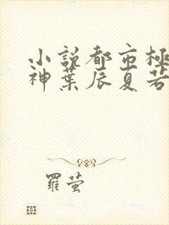 小说都市极品医神叶辰夏若雪无弹窗