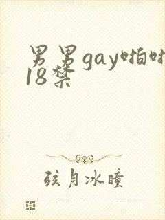 男男gay啪啪18禁