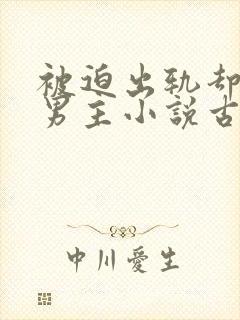 被迫出轨却上瘾男主小说古言