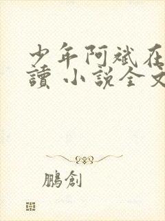 少年阿斌在线阅读 小说全文免费
