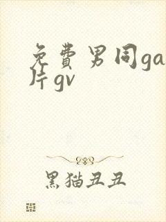 免费男同gay片gv