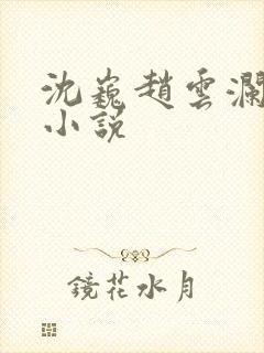 沈巍赵云澜同人小说封面