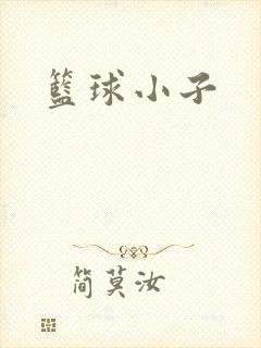 篮球小子