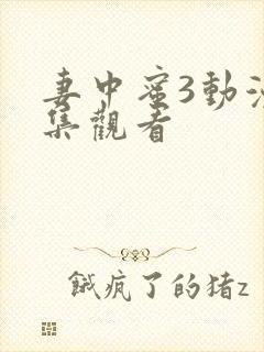 妻中蜜3动漫全集观看