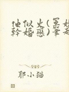 他似火(军婚高干婚恋)笔趣阁完整版封面