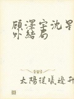 顾泽宇沈星晚番外结局