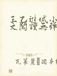 王乙进城小说全文阅读无弹窗封面