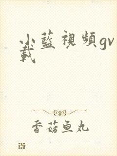小蓝视频gv下载
