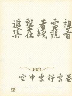 追击者电视剧全集在线观看免费