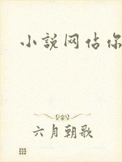 小说网站你懂的