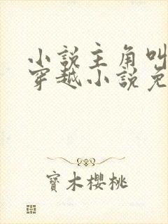 小说主角叫李辰穿越小说免费阅读封面