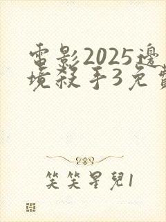 电影2025边境杀手3免费观看