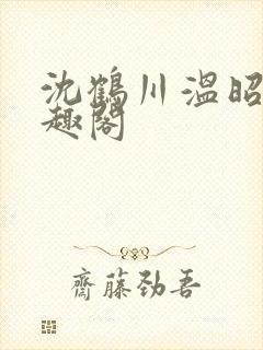 沈鹤川温昭宁笔趣阁