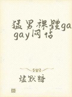 猛男裸体gay gay网站