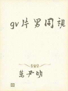 gv片男同视频