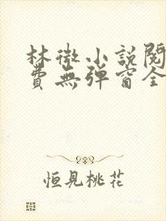 林微小说阅读免费无弹窗全文