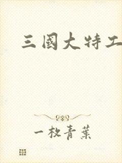 三国大特工