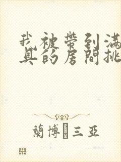 我被带到满是玩具的房间挑调作文