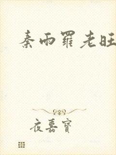 秦雨罗老旺封面