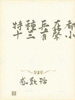 特种兵在都市夜十三有声小说