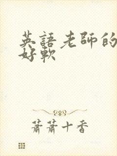 英语老师的兔子好软