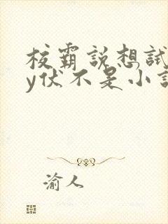 校霸说想试试by伏不是小说免费阅读