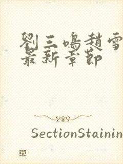 刘三鸣赵雪小说最新章节封面