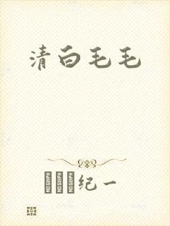 清白毛毛封面