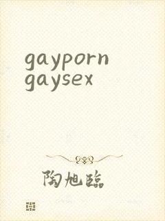 gayporngaysex
