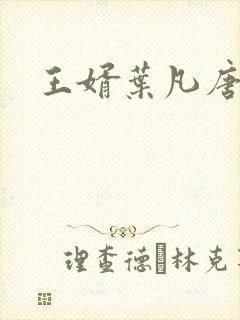 王婿叶凡唐若雪