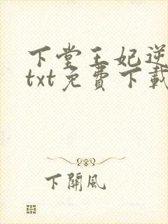 下堂王妃逆袭记txt免费下载