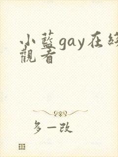 小蓝gay在线观看