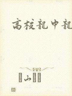 高校龙中龙封面